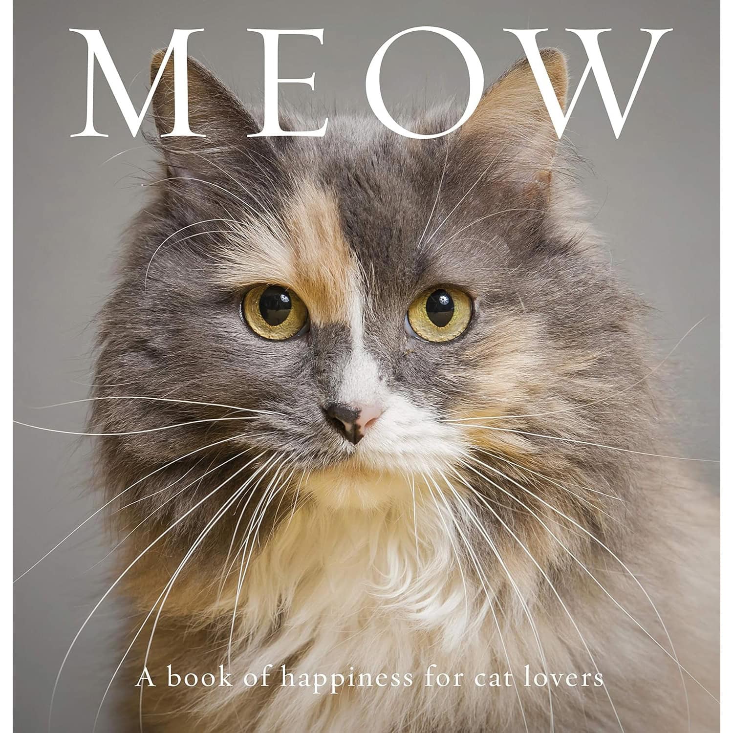 Meow - A Book of Happiness for Cat Lovers