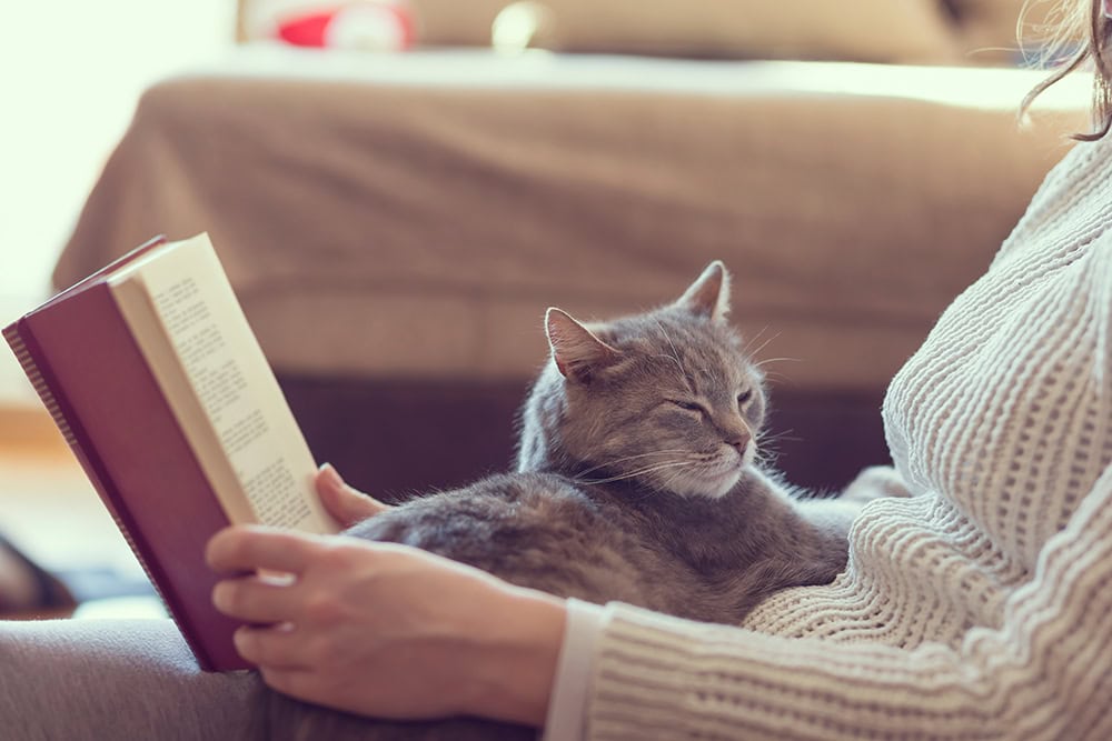 cat sleeping on the lap of a woman reading book