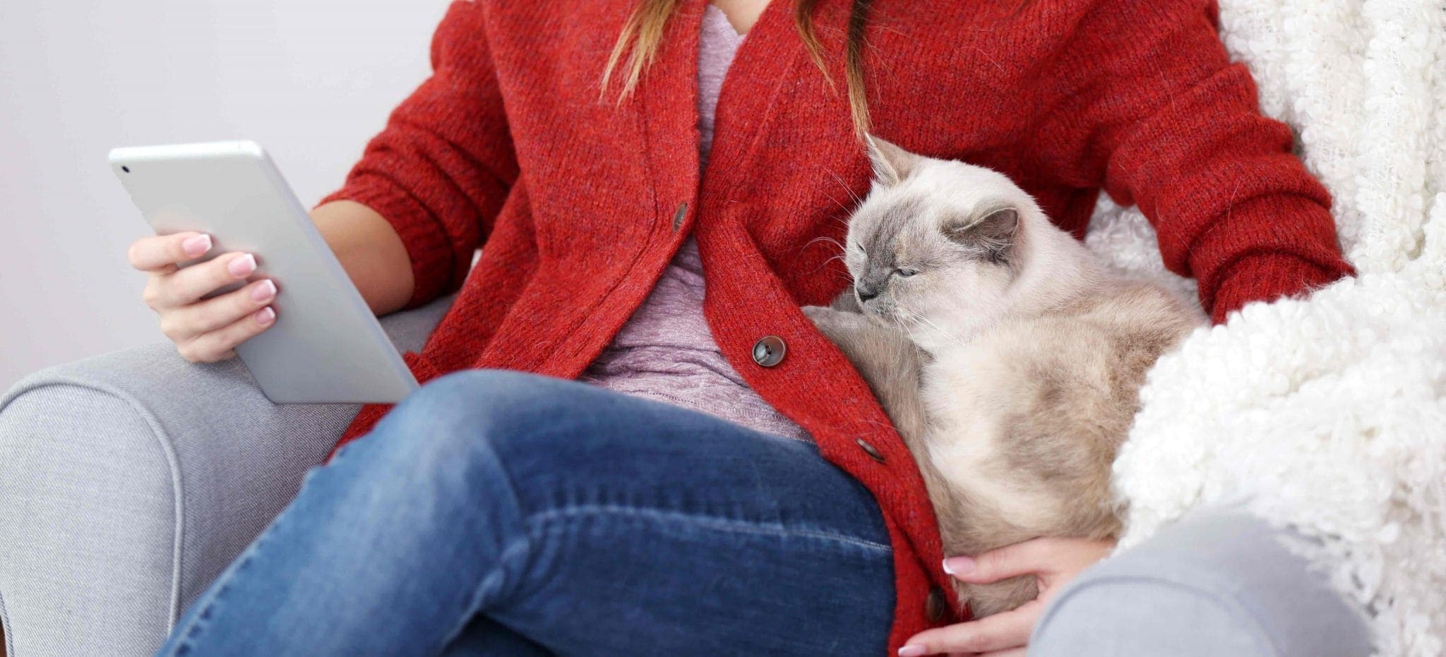 Young woman with tablet computer and cute cat sitting in armchair