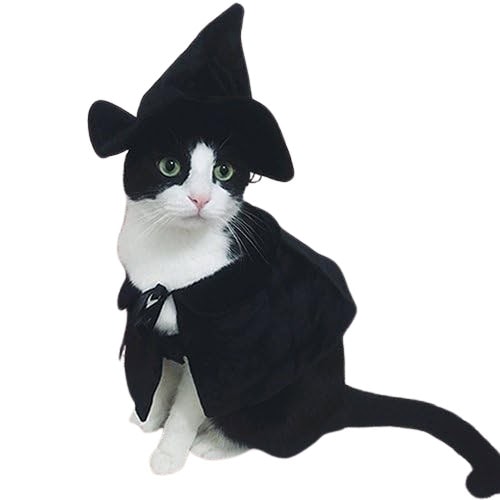 Cute Hooded Cloak Witch_Wizard Halloween Holiday Costume 