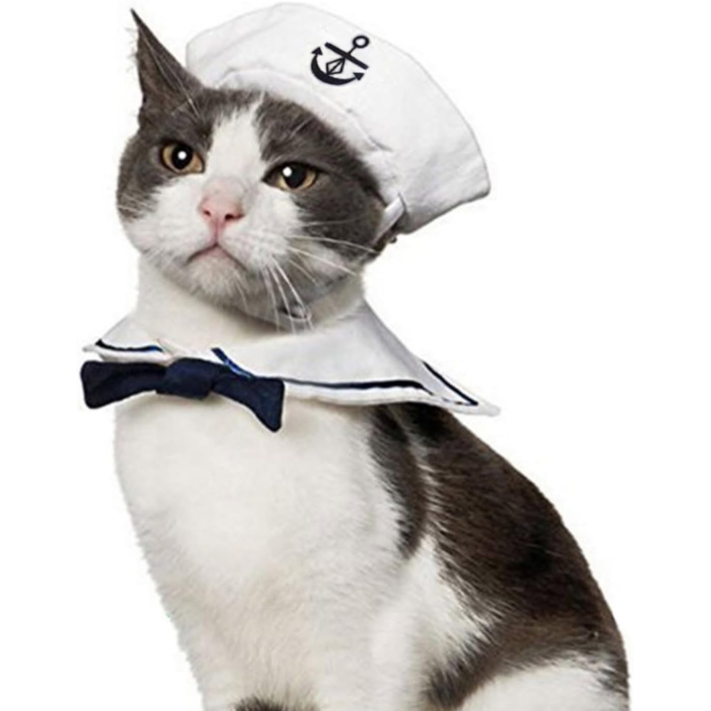 Namsan Cat Halloween Costume