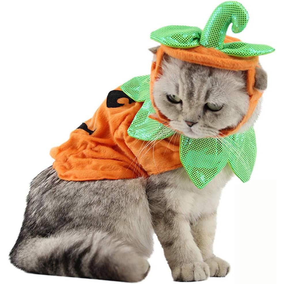 Pet Pumpkin Costume for Cats & Small Dogs Party Halloween Cosplay Free Size Orange