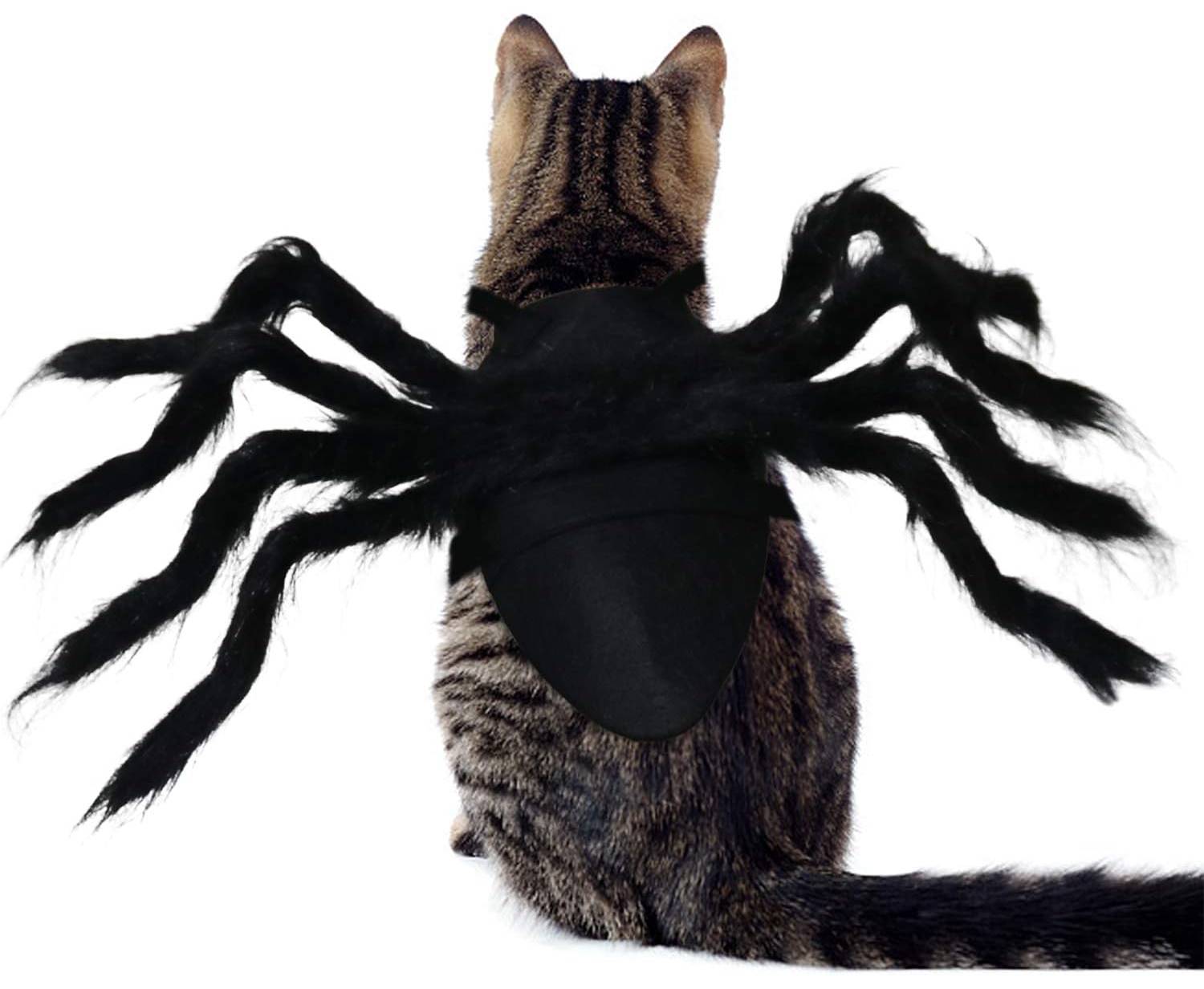RYPET Cat Spider Costume