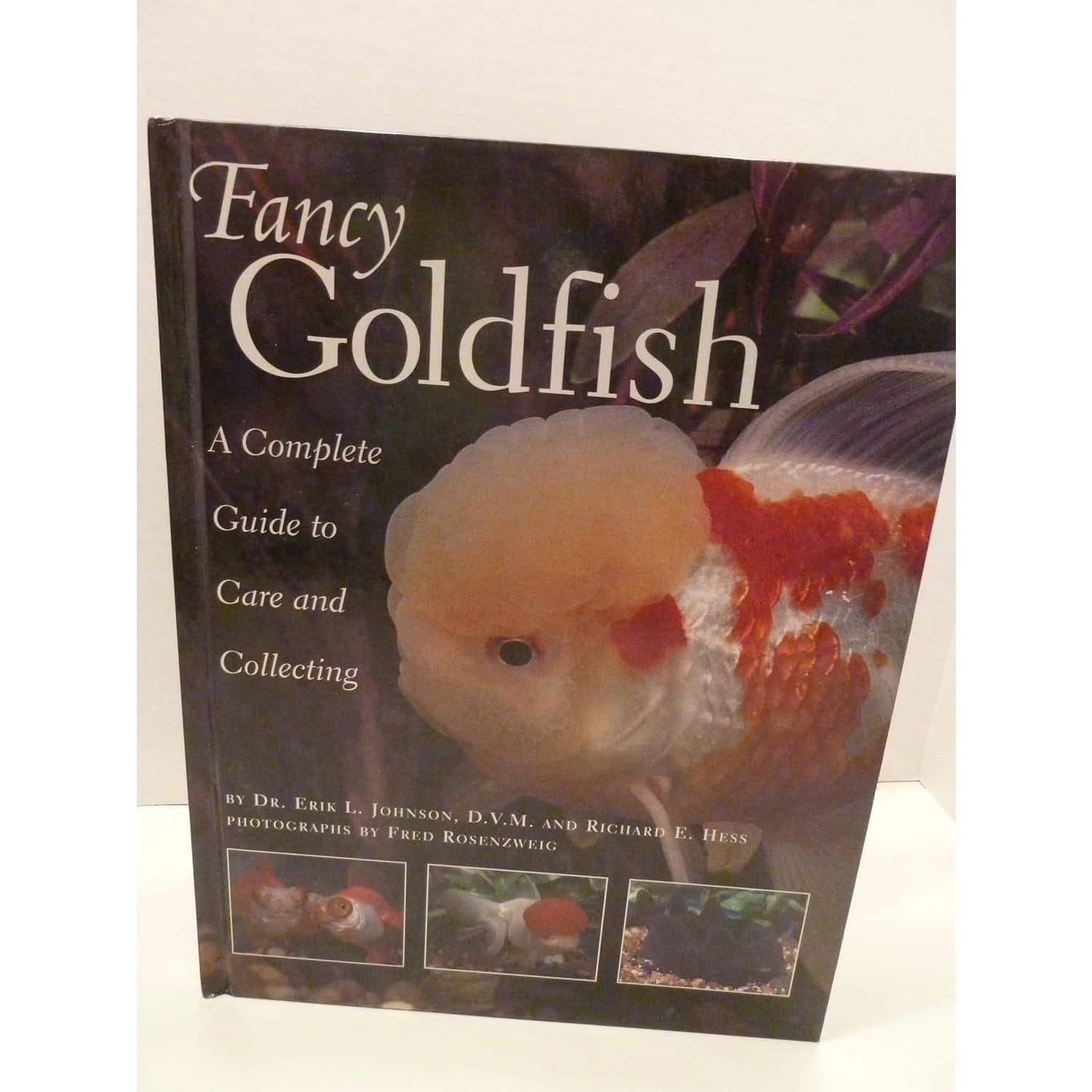 Fancy Goldfish: A Complete Guide to Care and Collecting