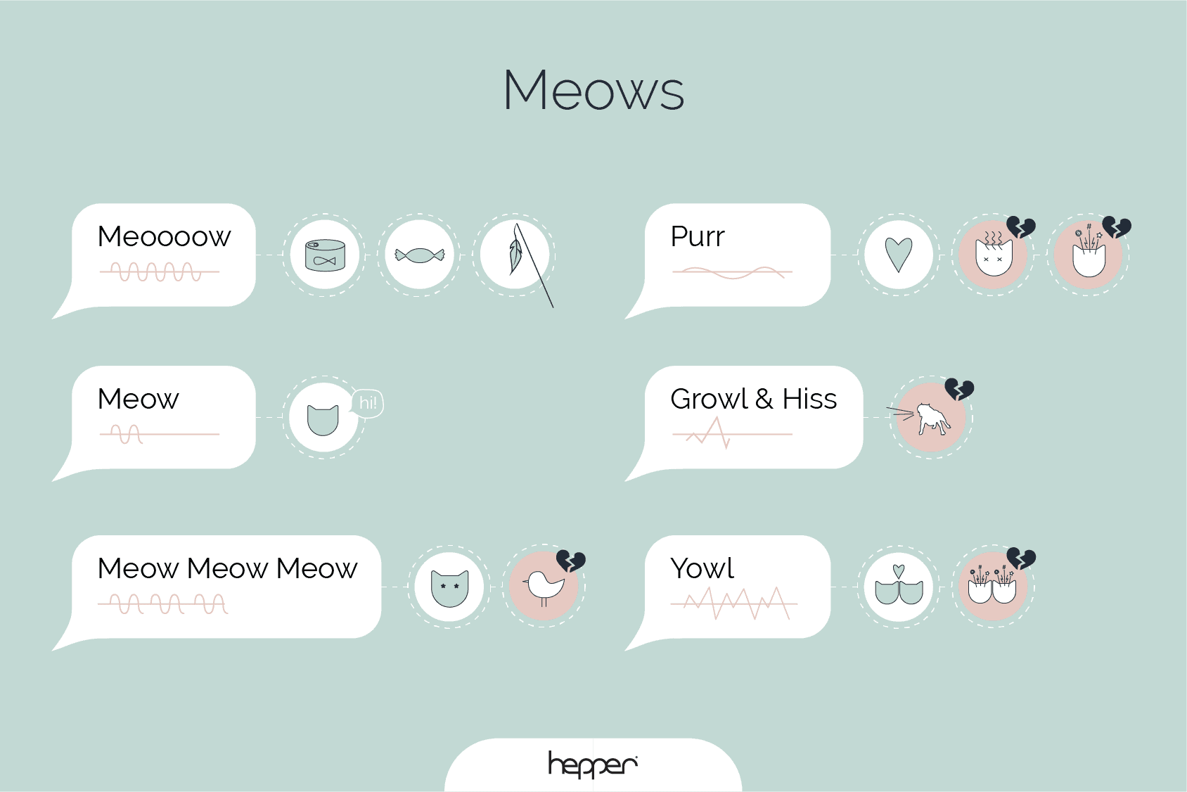 cat body language meows