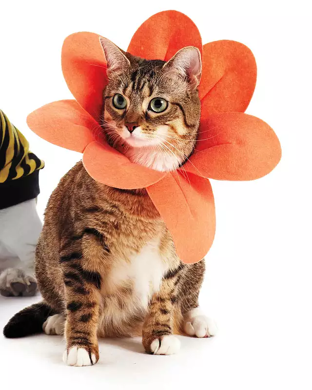 Flower Power Costume