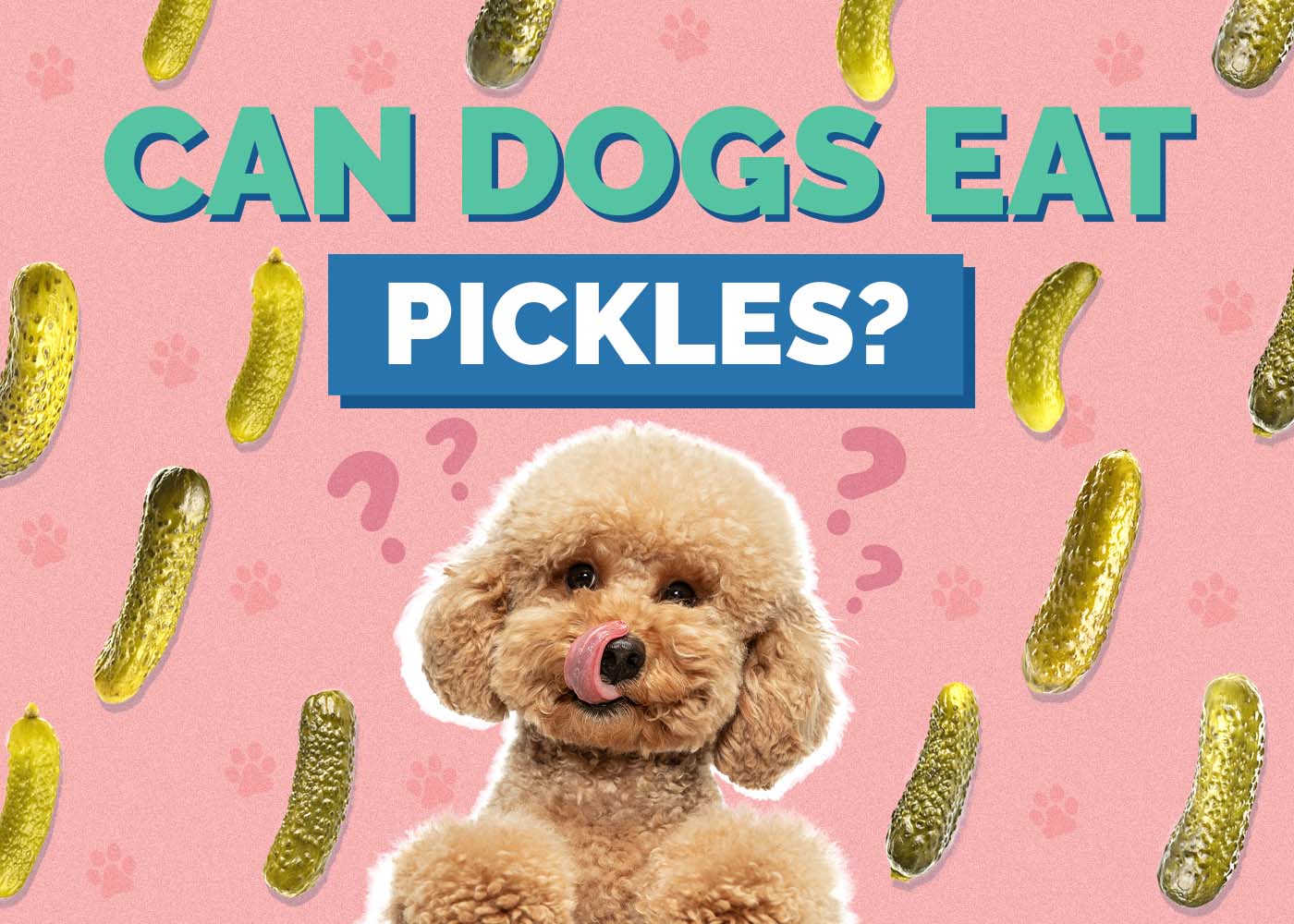 Hepper_Can Dogs Eat_Pickles