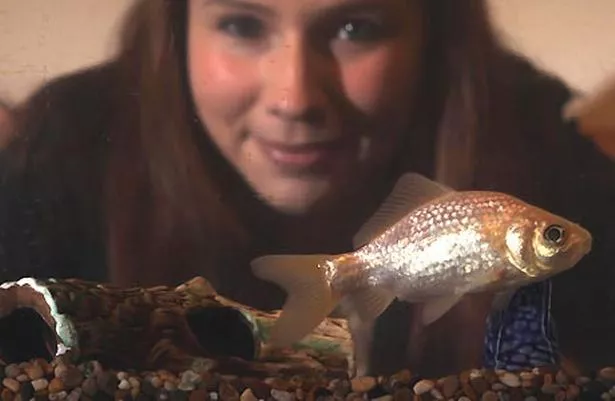 samantha-dixon-with-her-goldfish