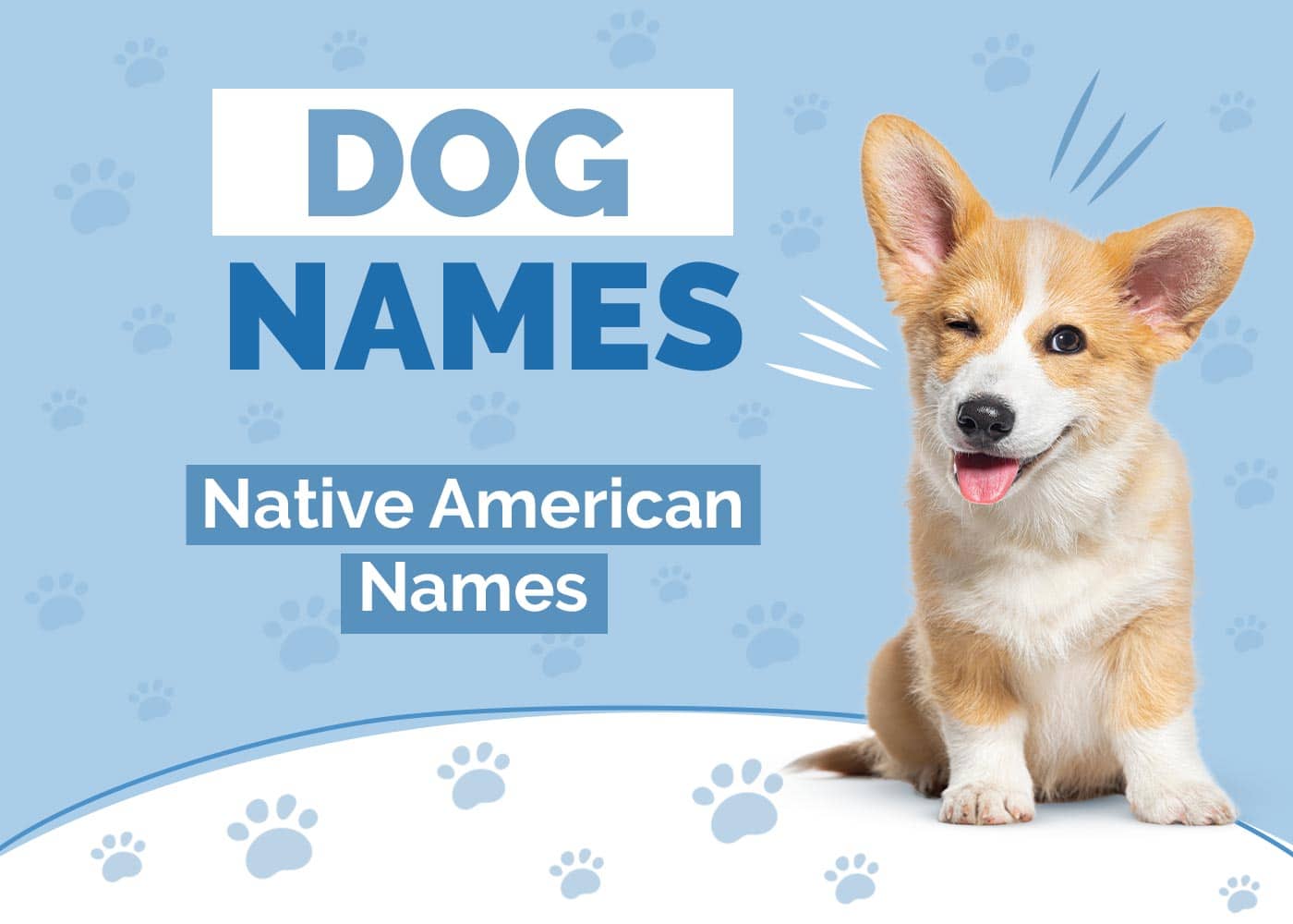 Native American Dog Names