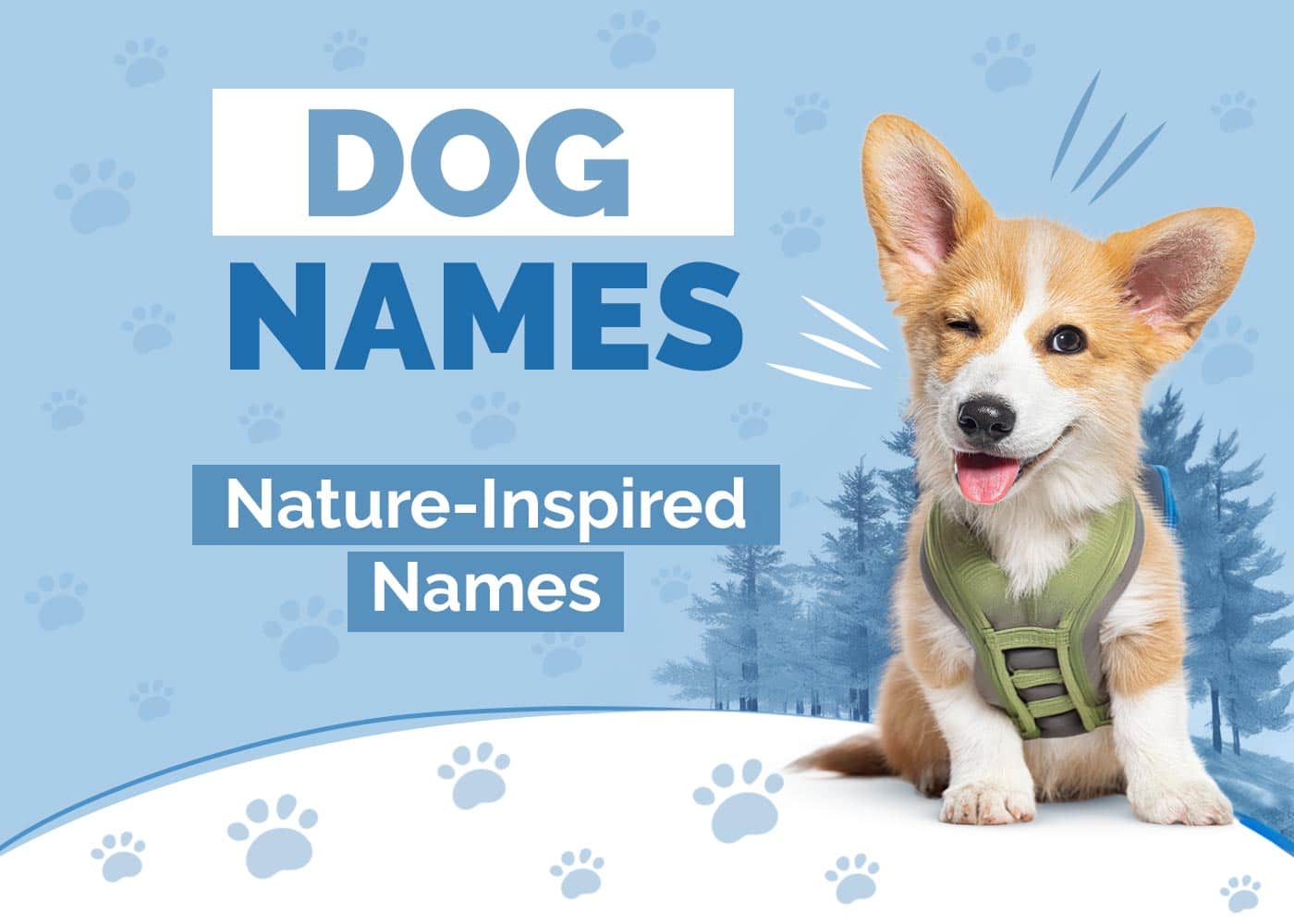 Nature Dog Names for Adventurous Outdoor Enthusiasts