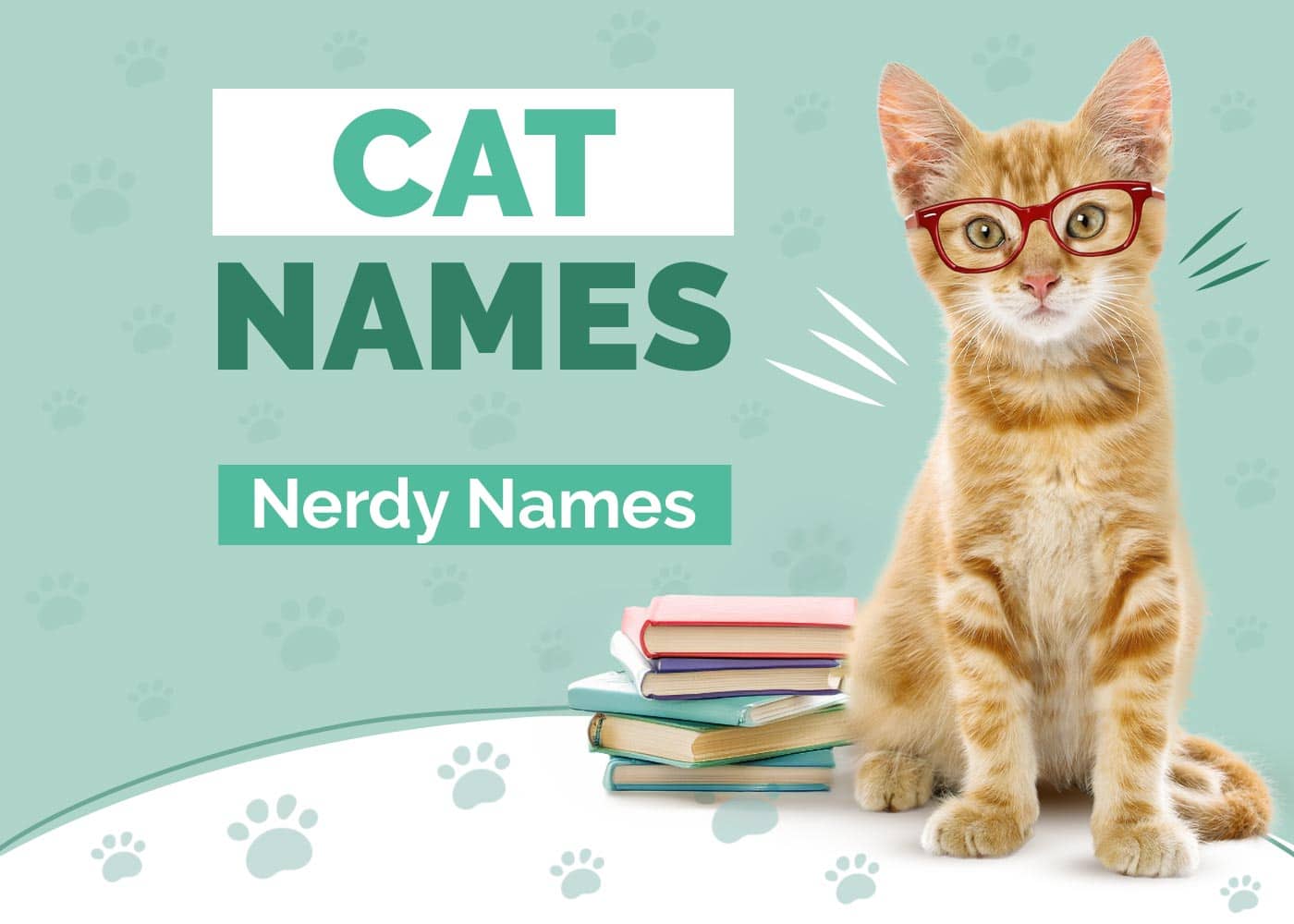 Nerdy Cat Names
