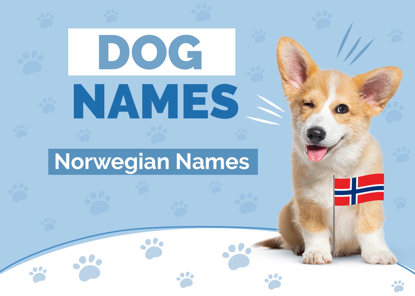 Norwegian Dog Names & Meanings