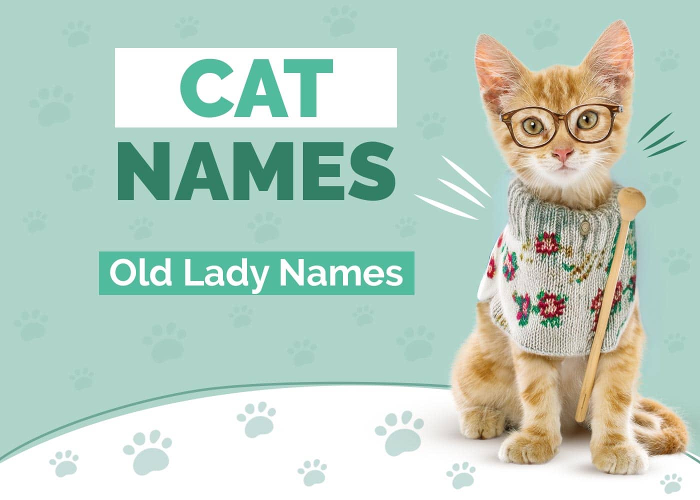 Old Lady Names for Cats
