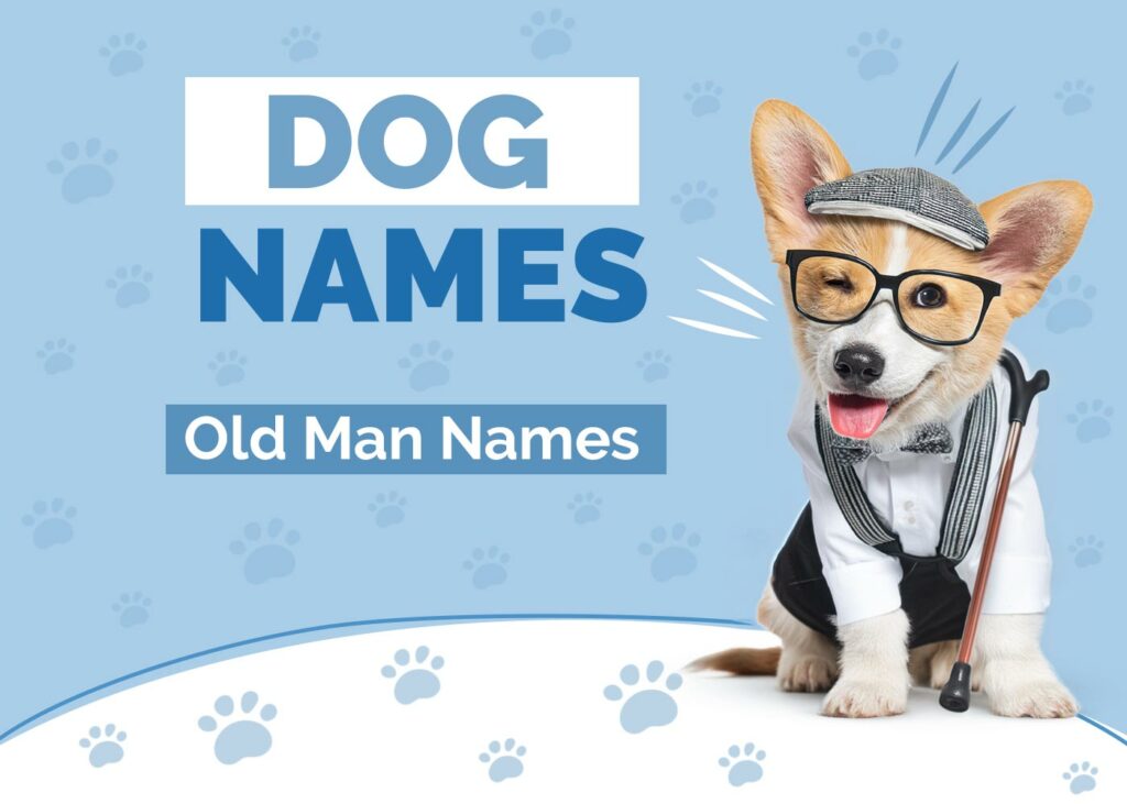 Old Man Names for Dogs