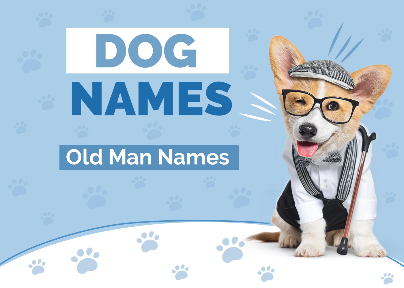 Old Man Names for Dogs