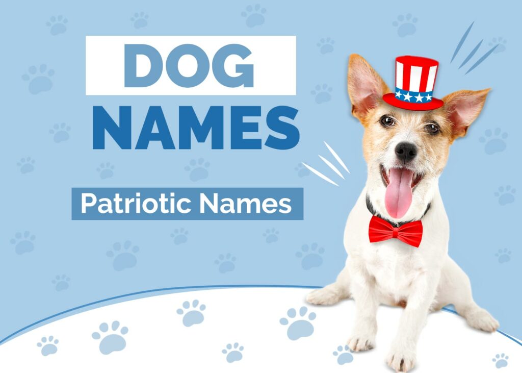 Patriotic Dog Names