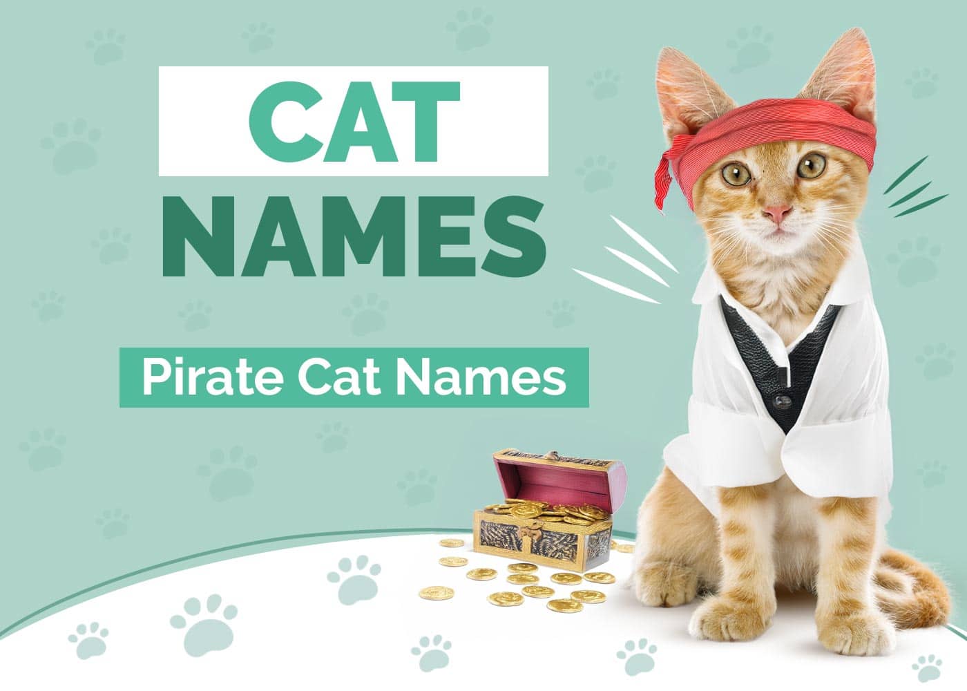 Pirate Cat Names