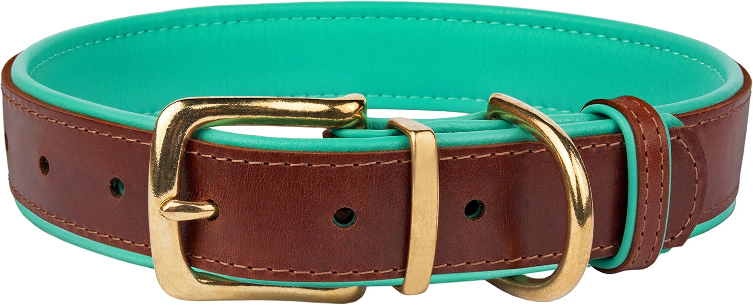 CollarDirect Soft Padded Leather Dog Collar