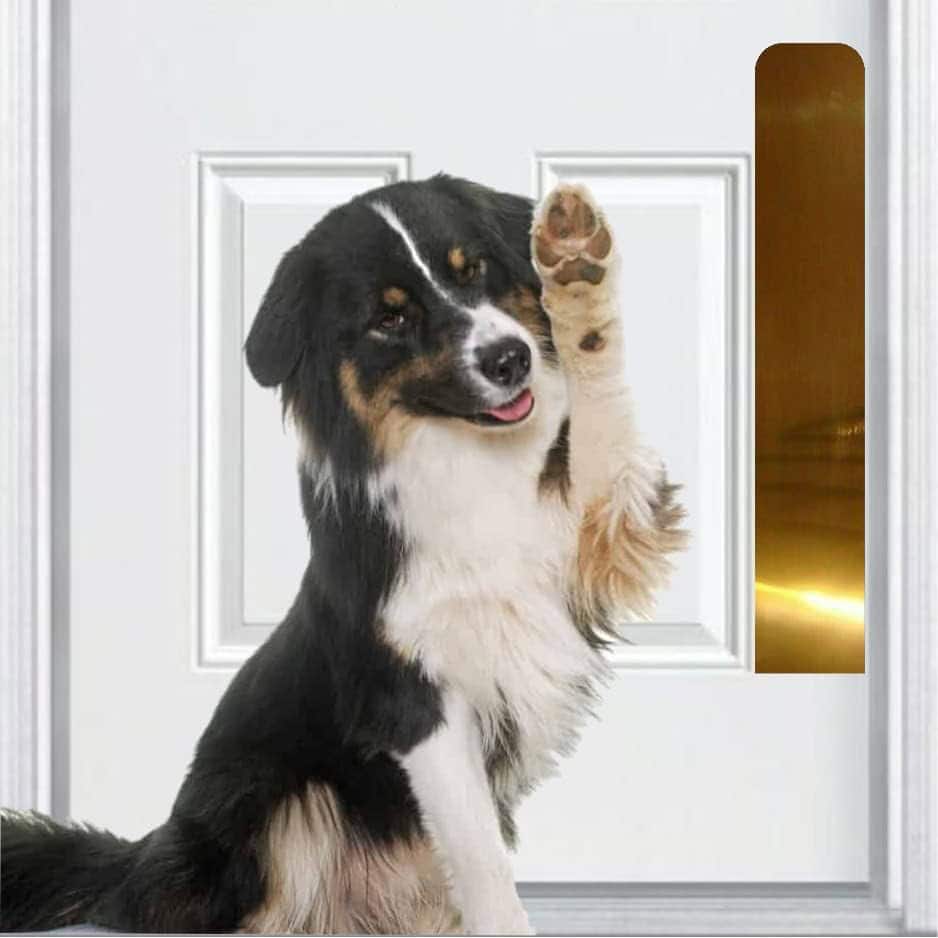 Deck the Door Décor Dog Scratch Door Protection Plate