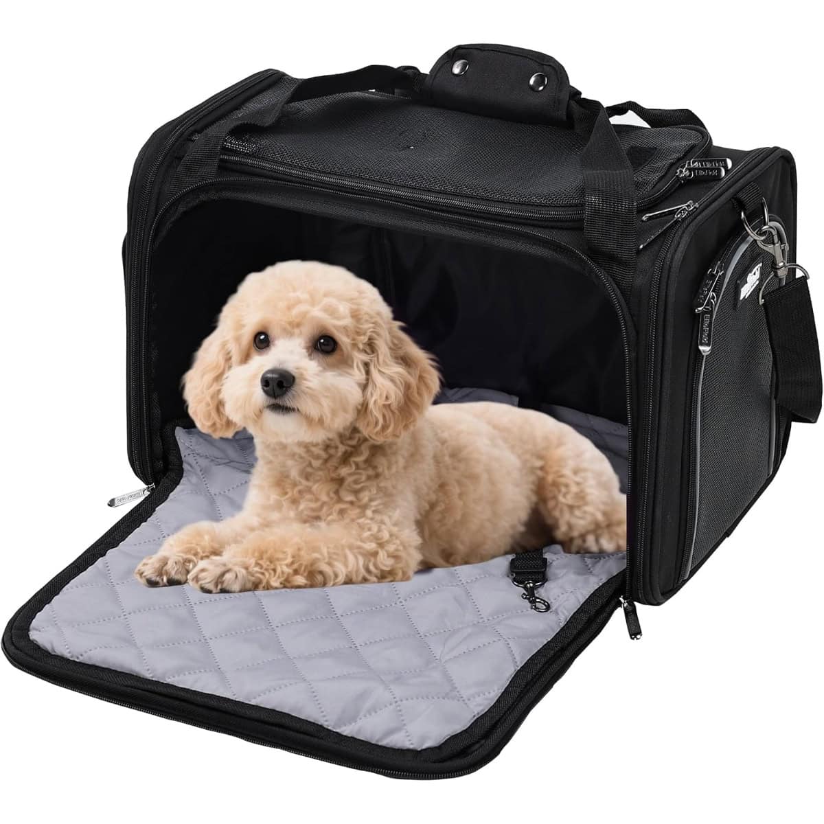 EliteField Deluxe Soft-Sided Airline-Approved Dog & Cat Carrier Bag Square
