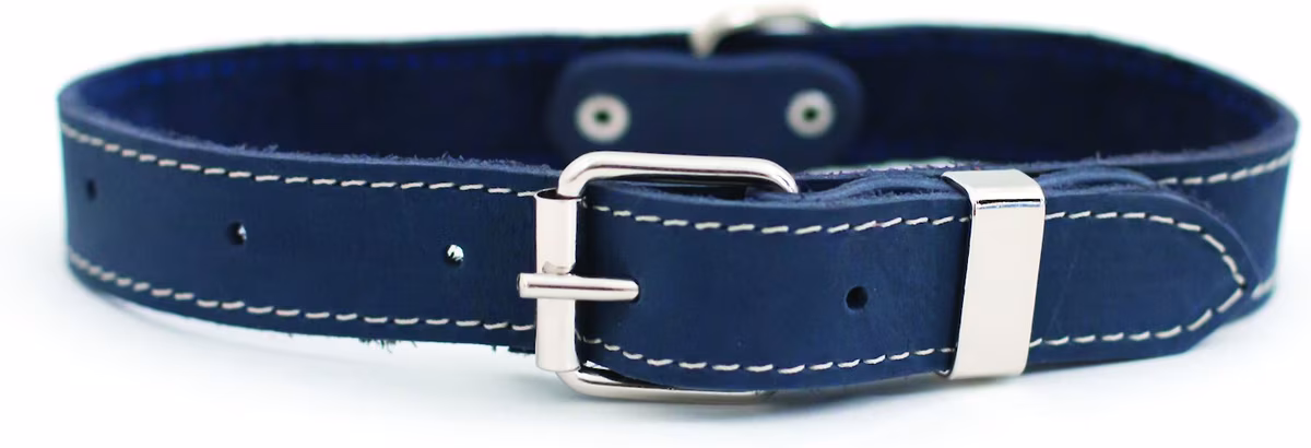 Euro-Dog Traditional Leather Dog Collar
