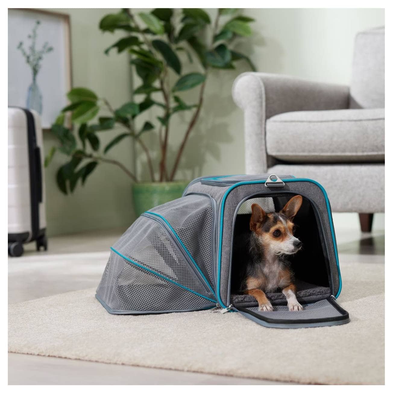 Frisco Single Soft Sided Expandable Airline Compliant Dog & Cat Carrier