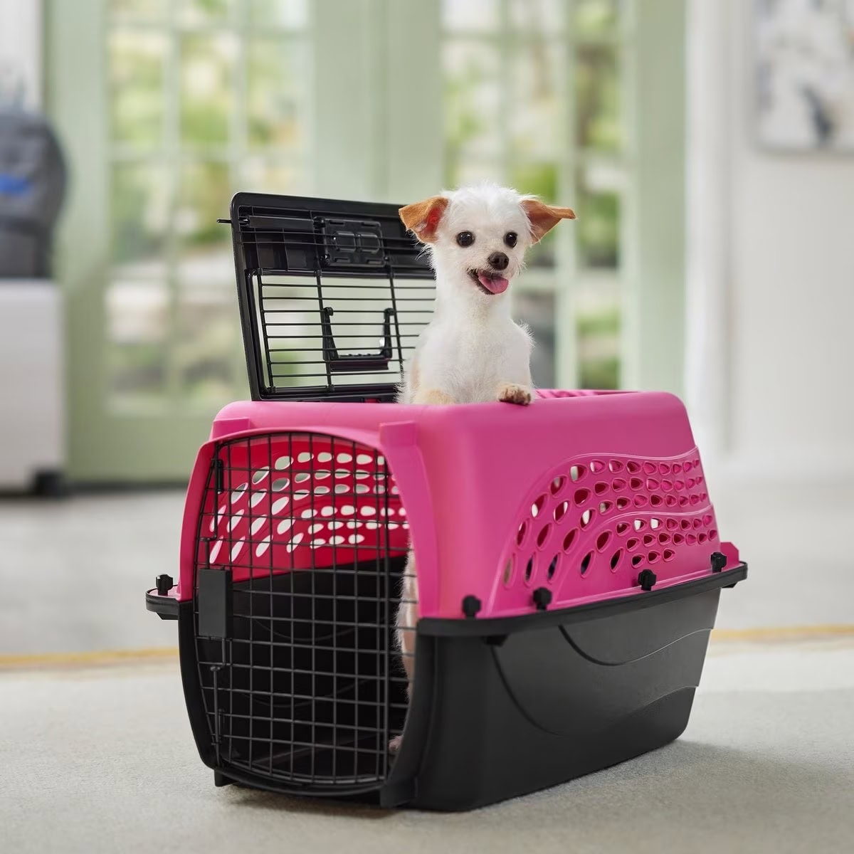 Frisco Two Door Top Load Plastic Dog Crate