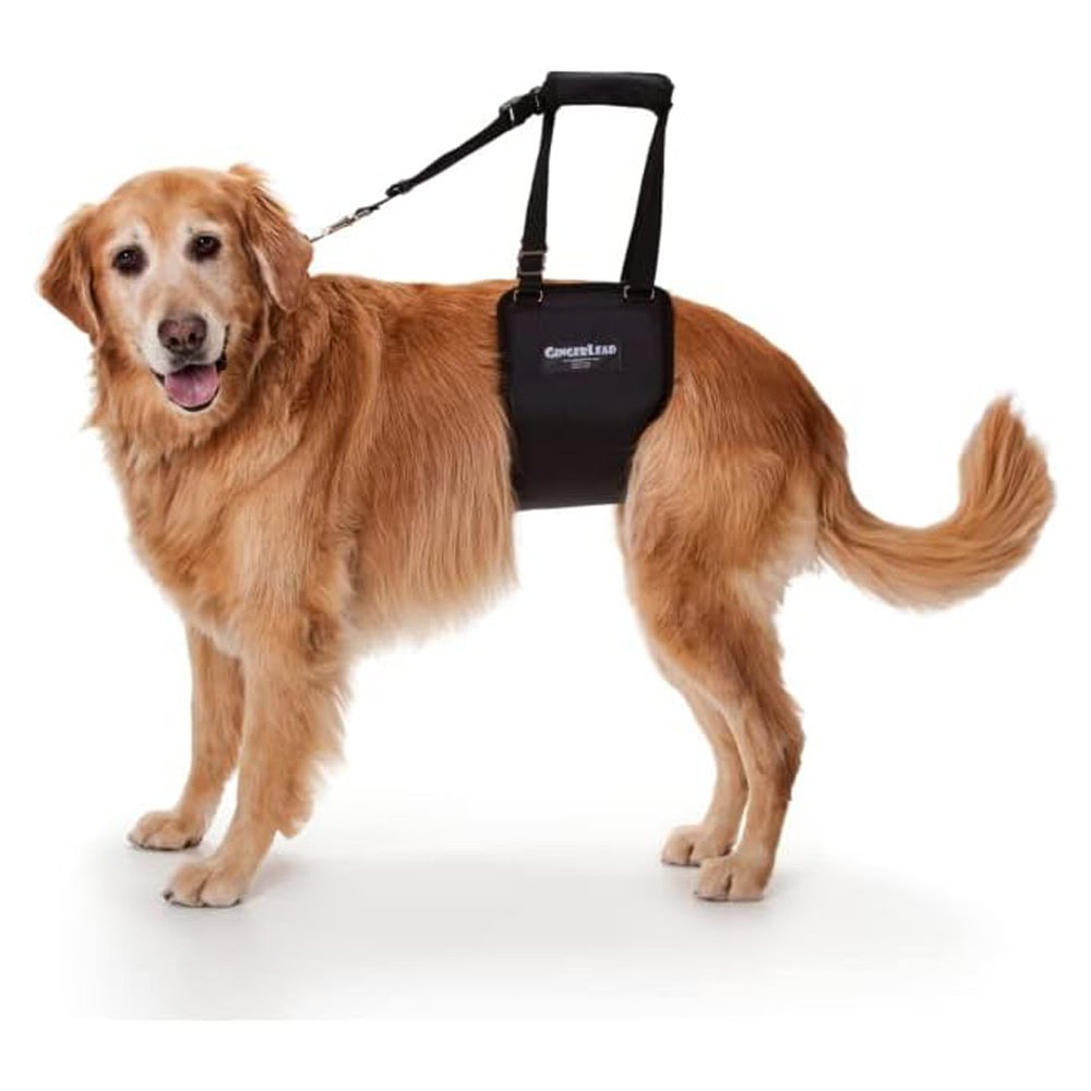 GingerLead Dog Support Harnesses