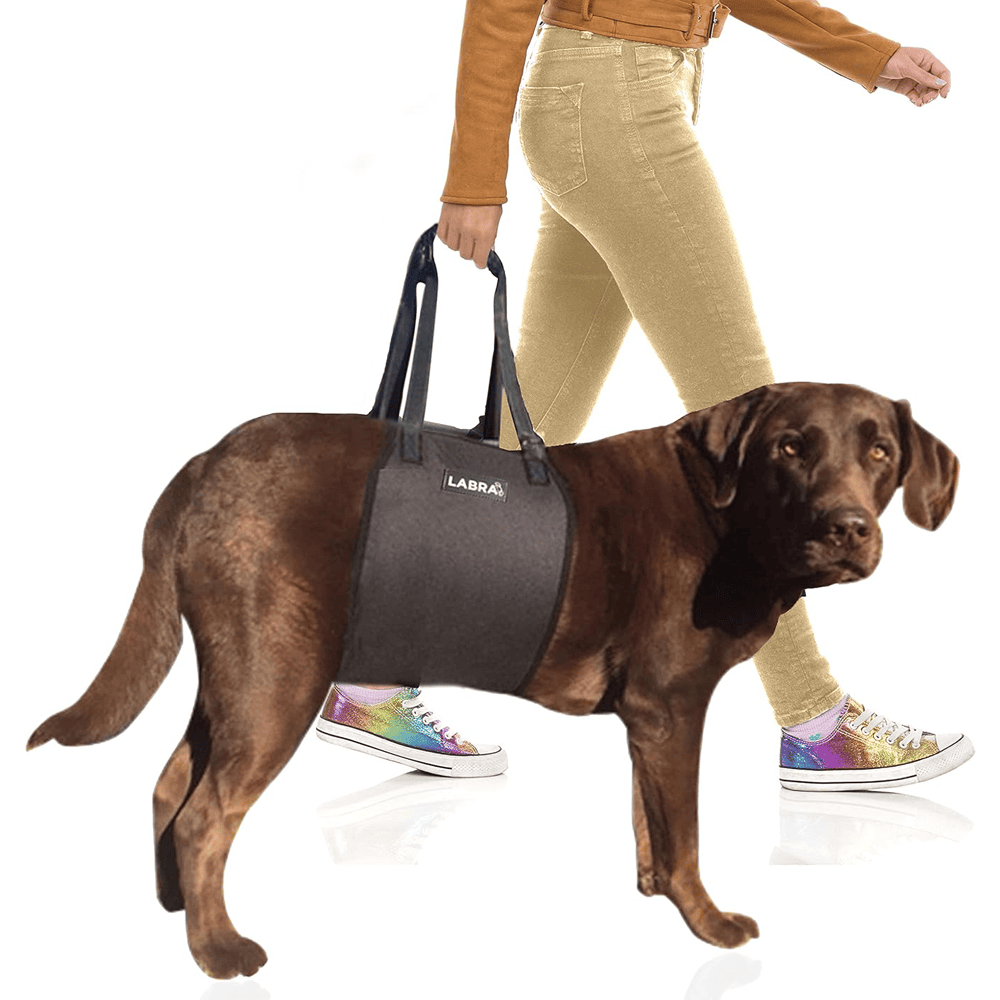 Labra Sling Lift Straps Support Harness