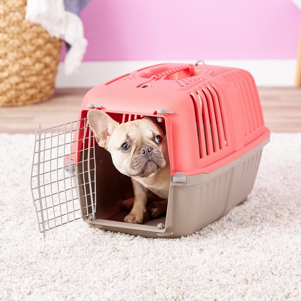 MidWest Spree Plastic Dog Crate