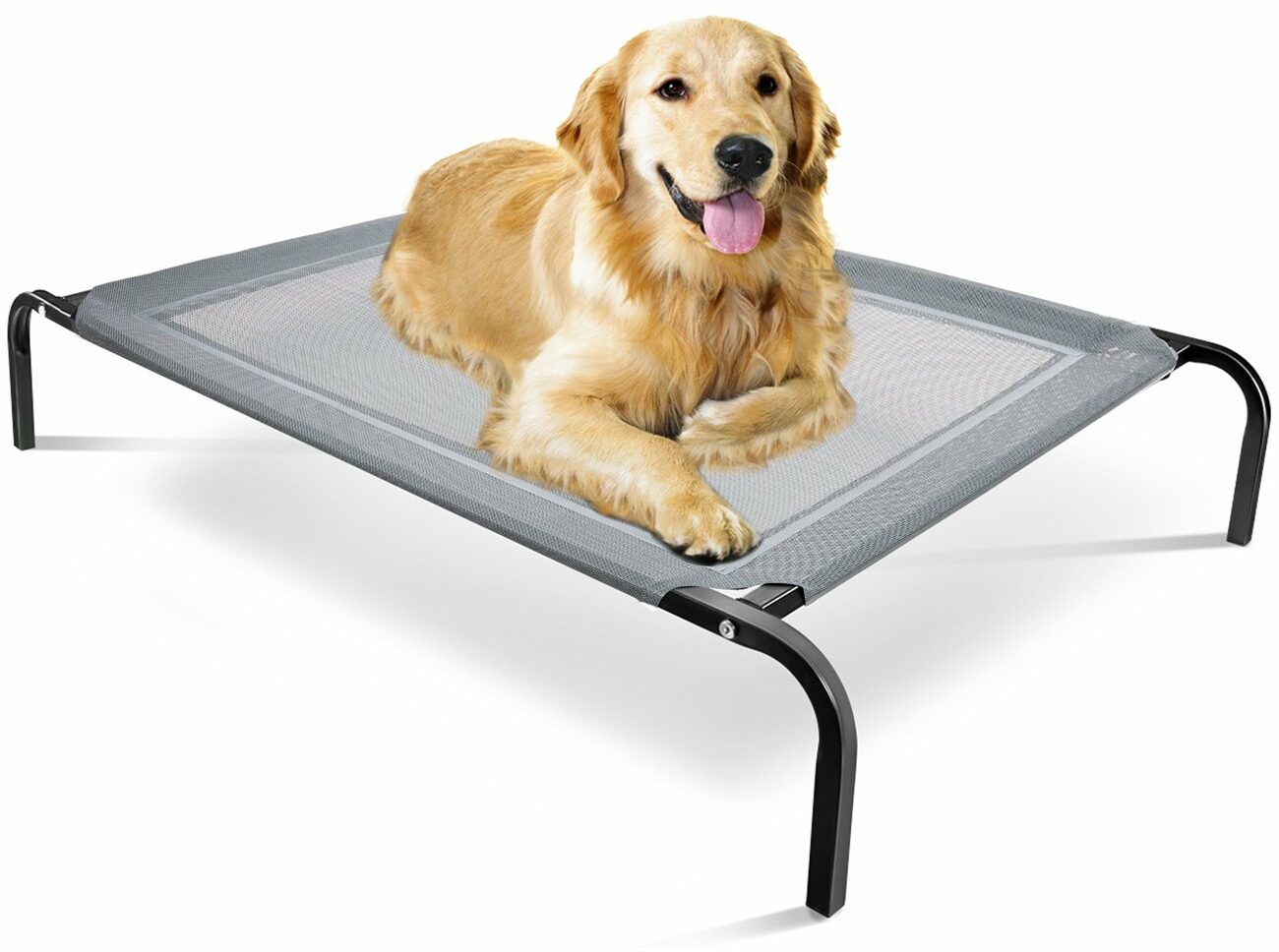 Paws & Pals Elevated Dog Bed