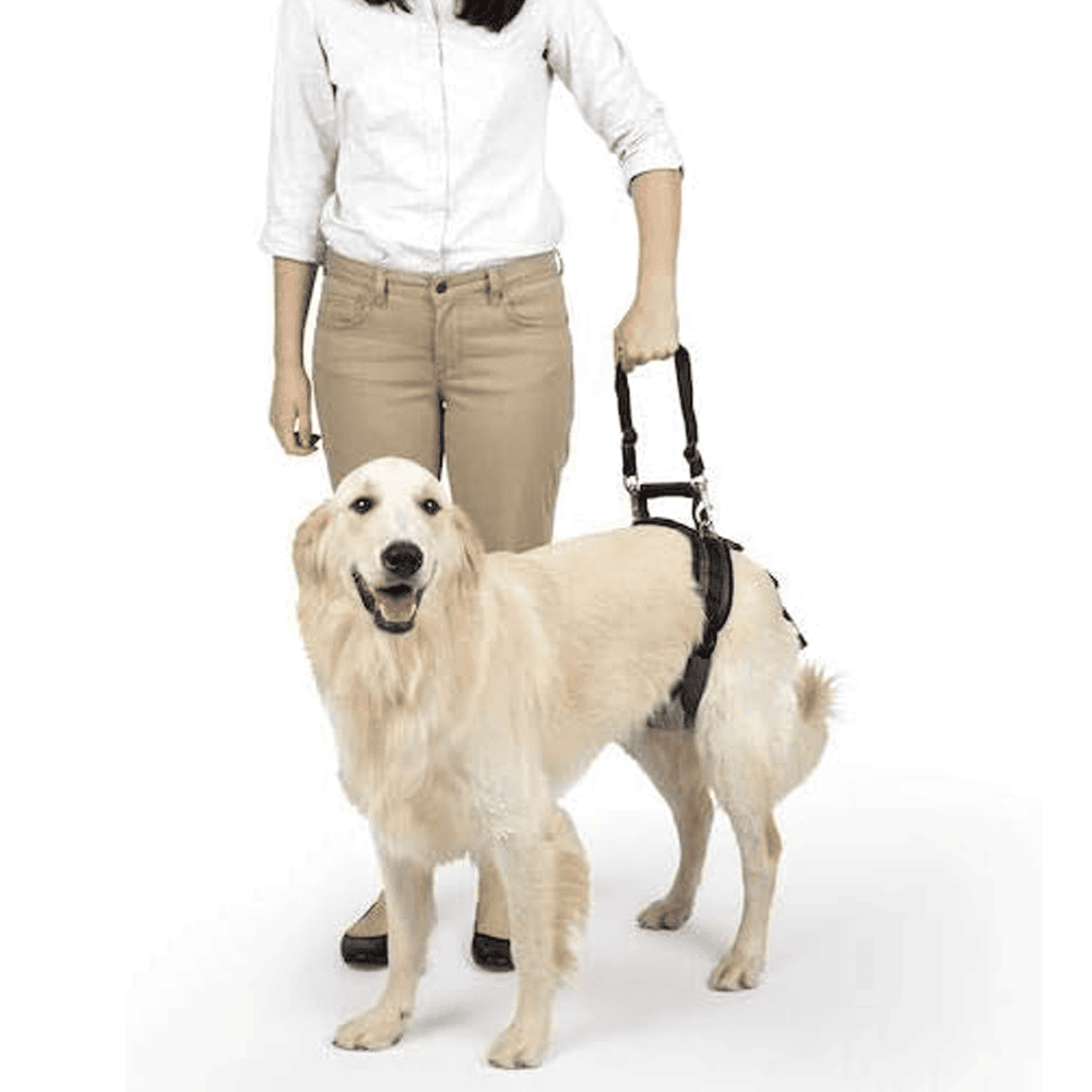 PetSafe Solvit Lifting Aid Harness