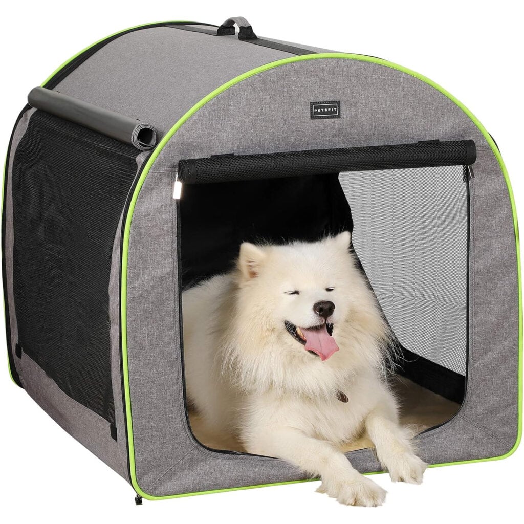 Illustration of Small Crate For Tiny Dogs