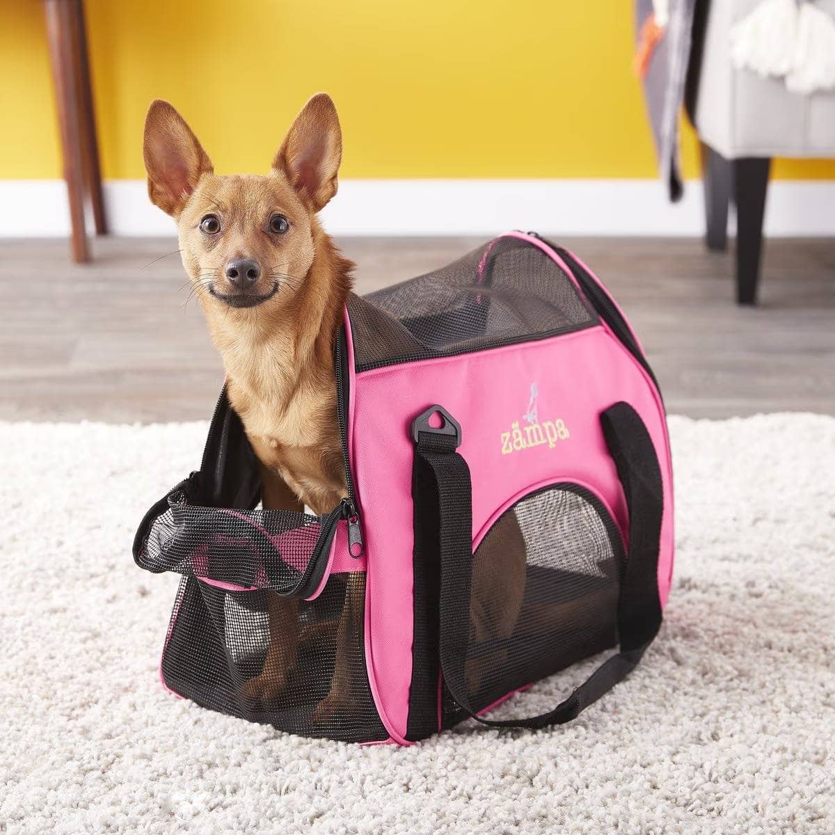 Zampa Airline Approved Pet Carrier