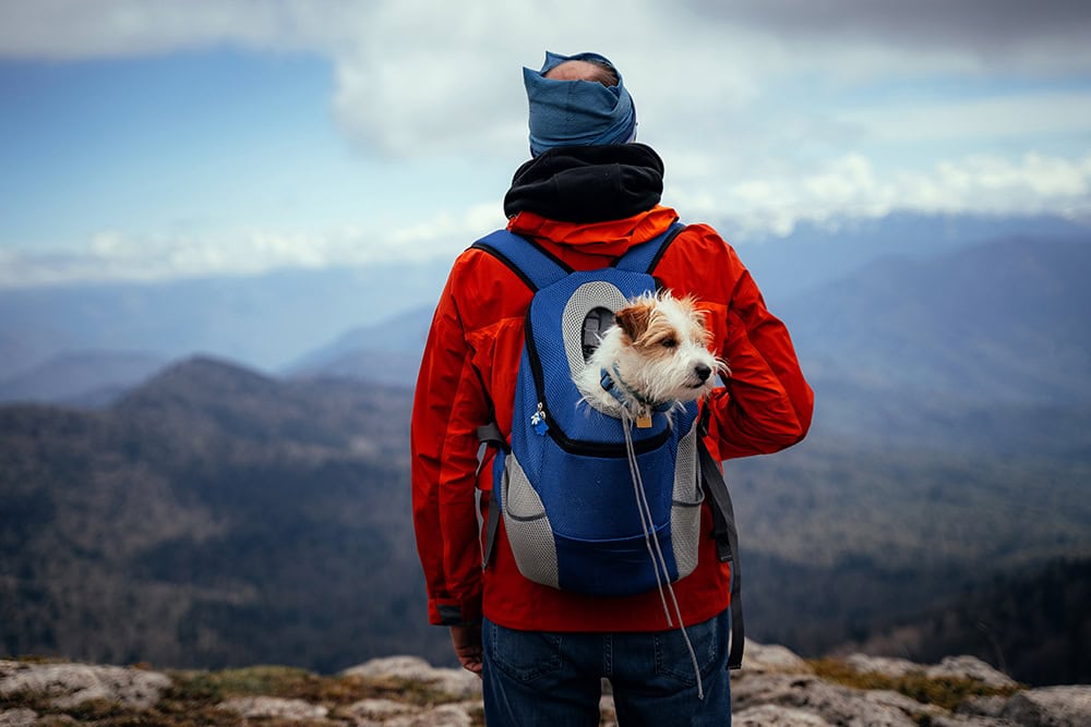 man went hiking with his dog in the backpack