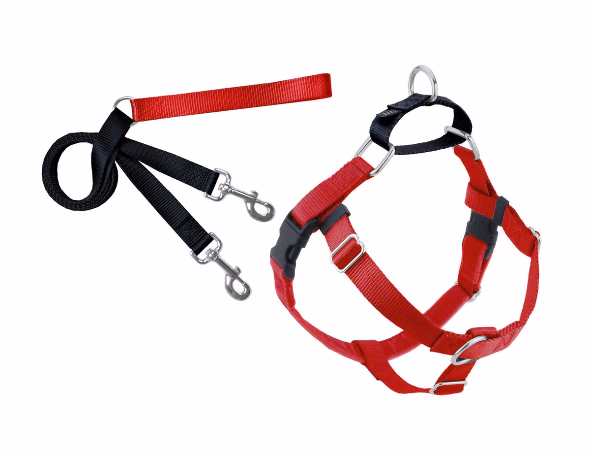 2 Hounds Design Freedom No Pull Dog Harness & Leash