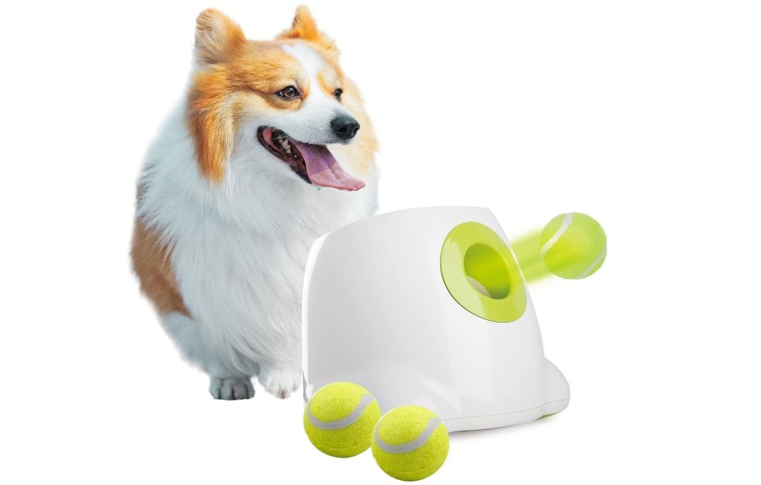ALL FOR PAWS Automatic Dog Ball