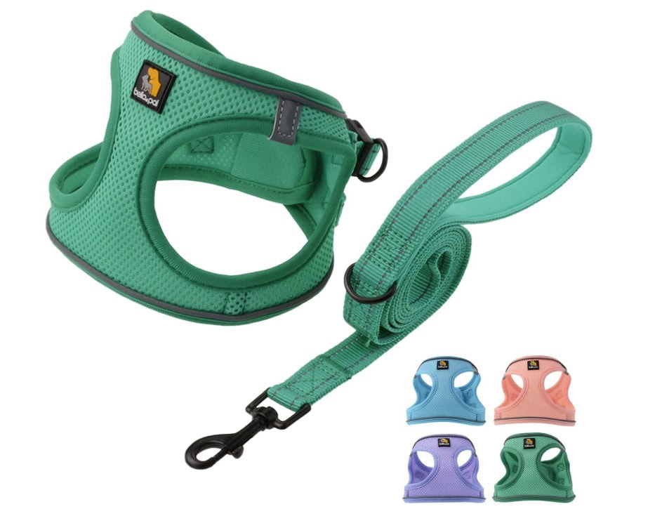 BELLA & PAL Small Emerald Dog Harness with Leash Set