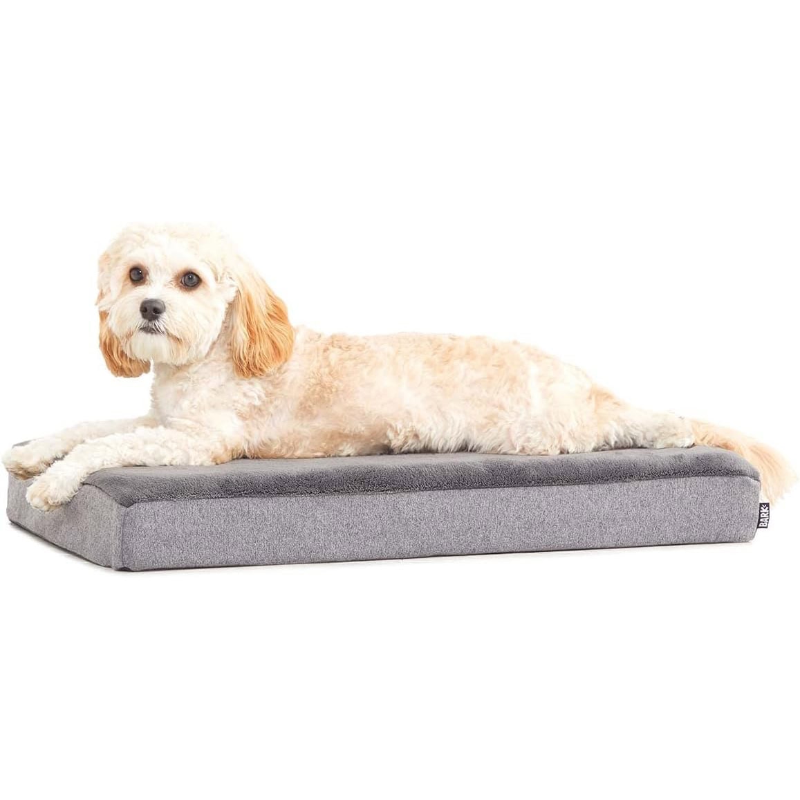 BarkBox Memory Foam Dog Bed