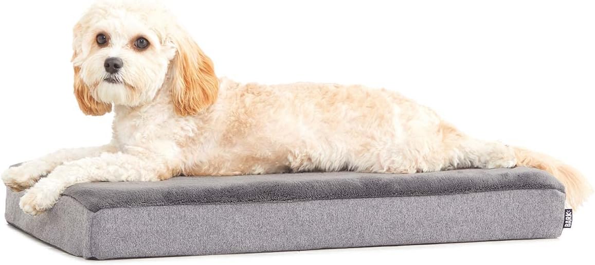 BarkBox Memory Foam Dog Bed