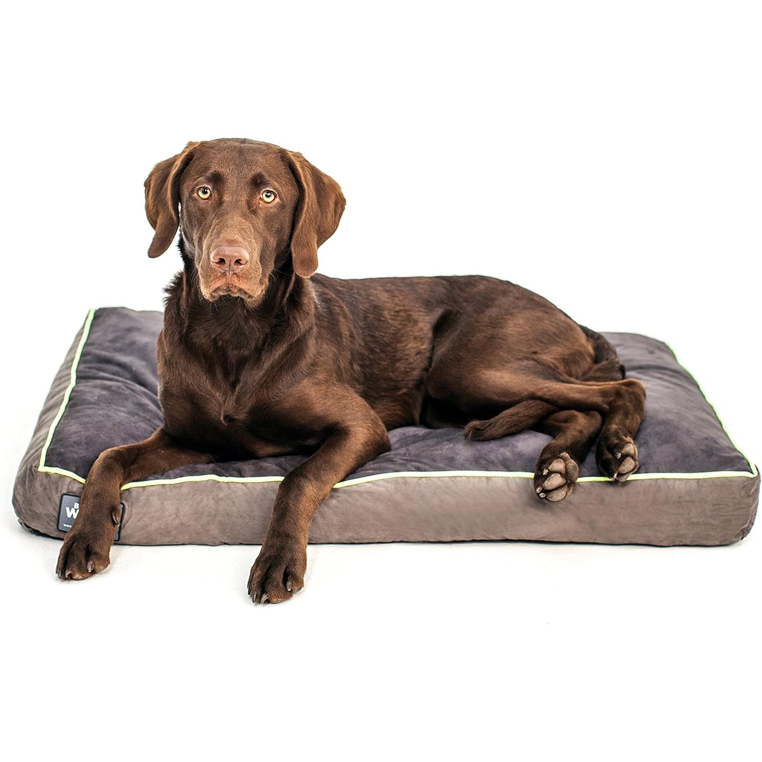 Better World Pets Dog Bed