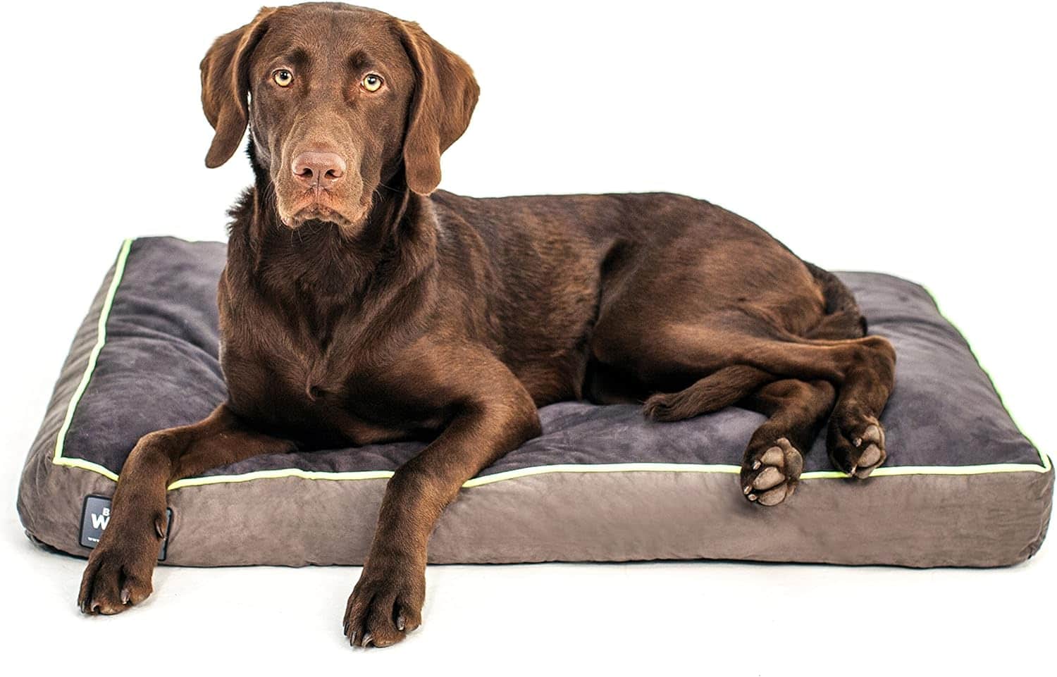 Better World Pets Dog Bed