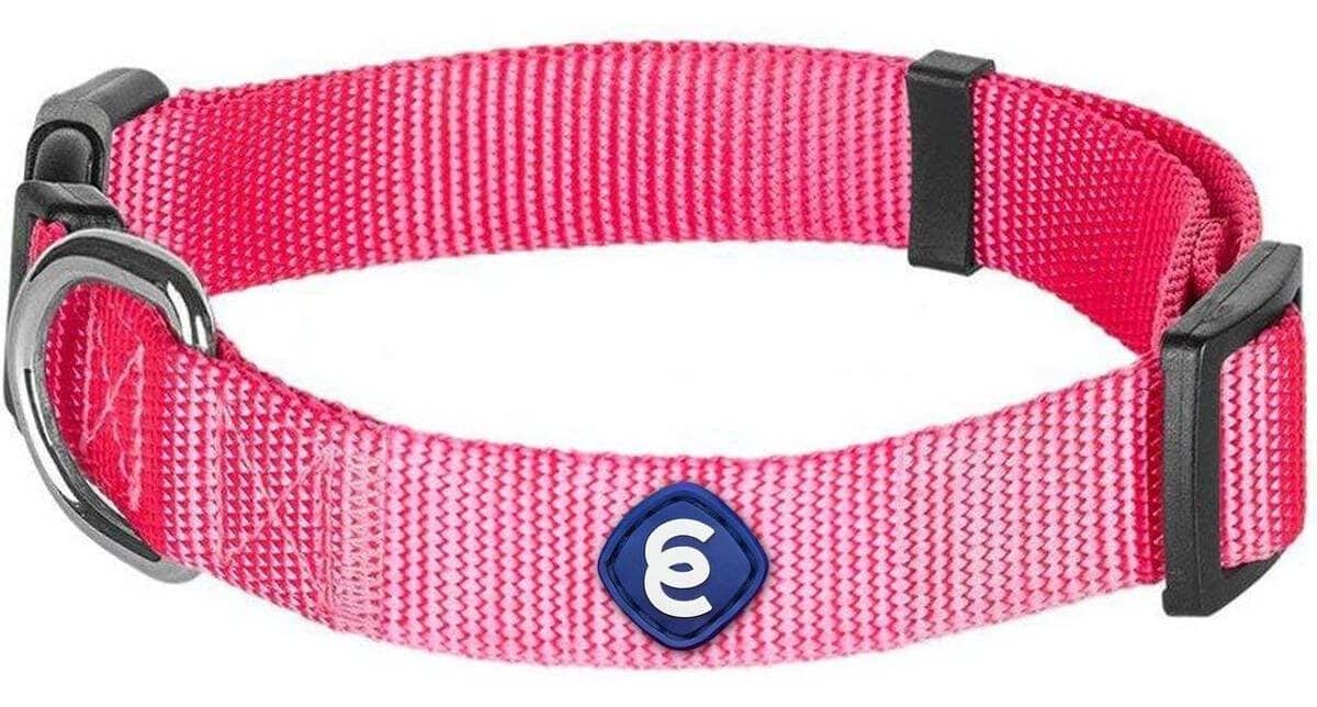 Blueberry Pet Regular Collar