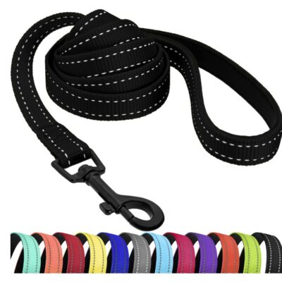 CollarDirect Reflective Nylon Dog Leash