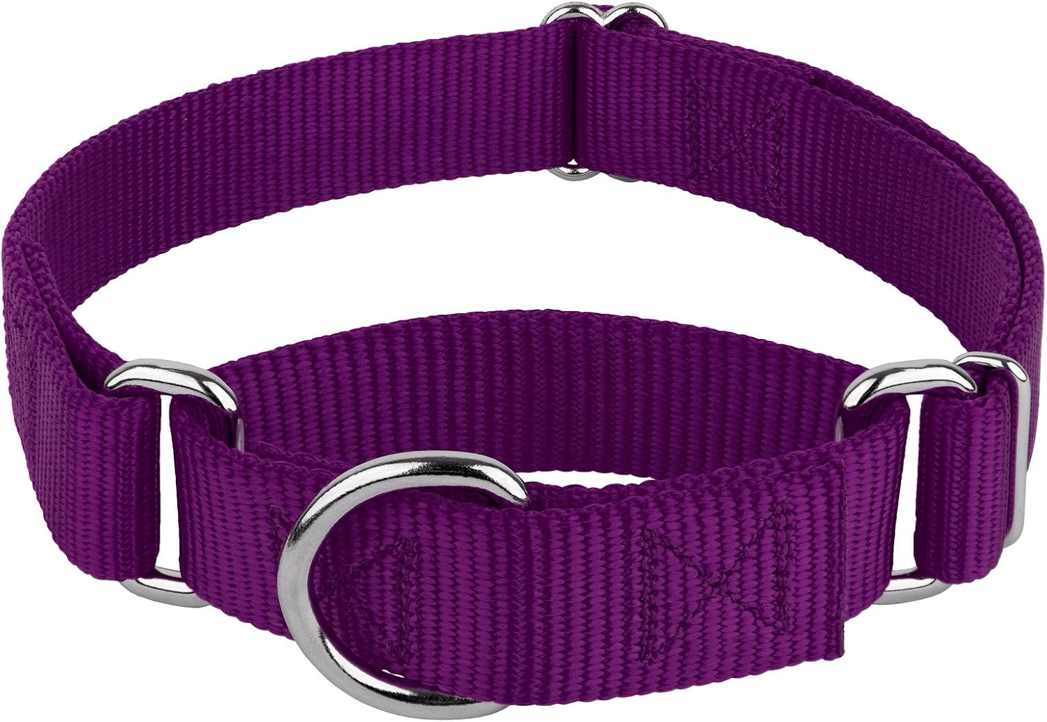 Country Brook Design Heavy-Duty Nylon Martingale Collar