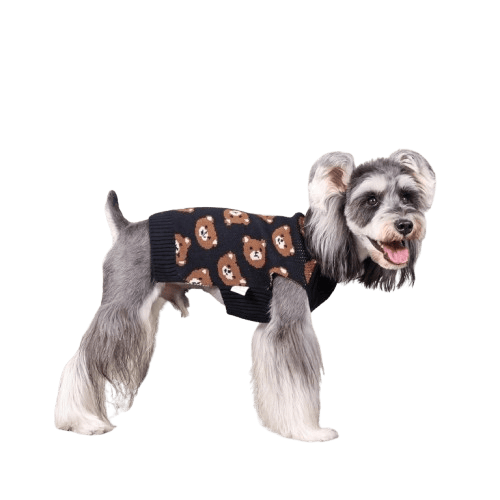 CuteBone_Bear_dog_sweater-removebg-preview
