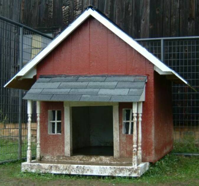 DIY Dog House