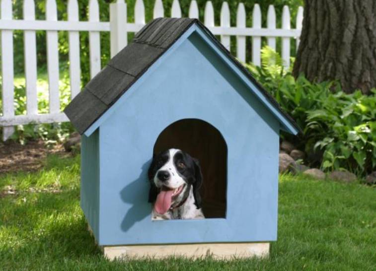 DIY Doghouse