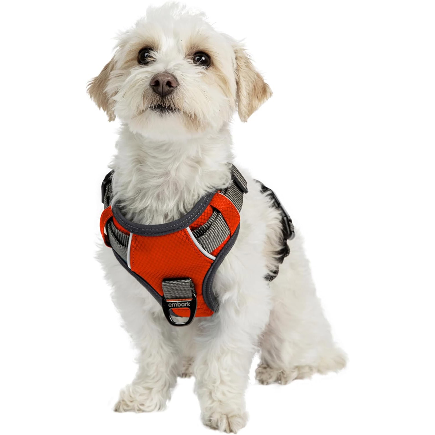 Embark Adventure Dog Harness