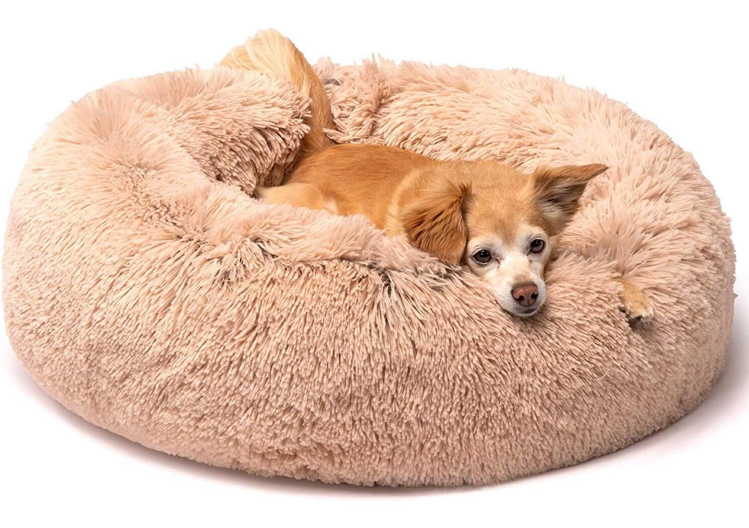 Friends Forever Donut Dog & Puppy Bed